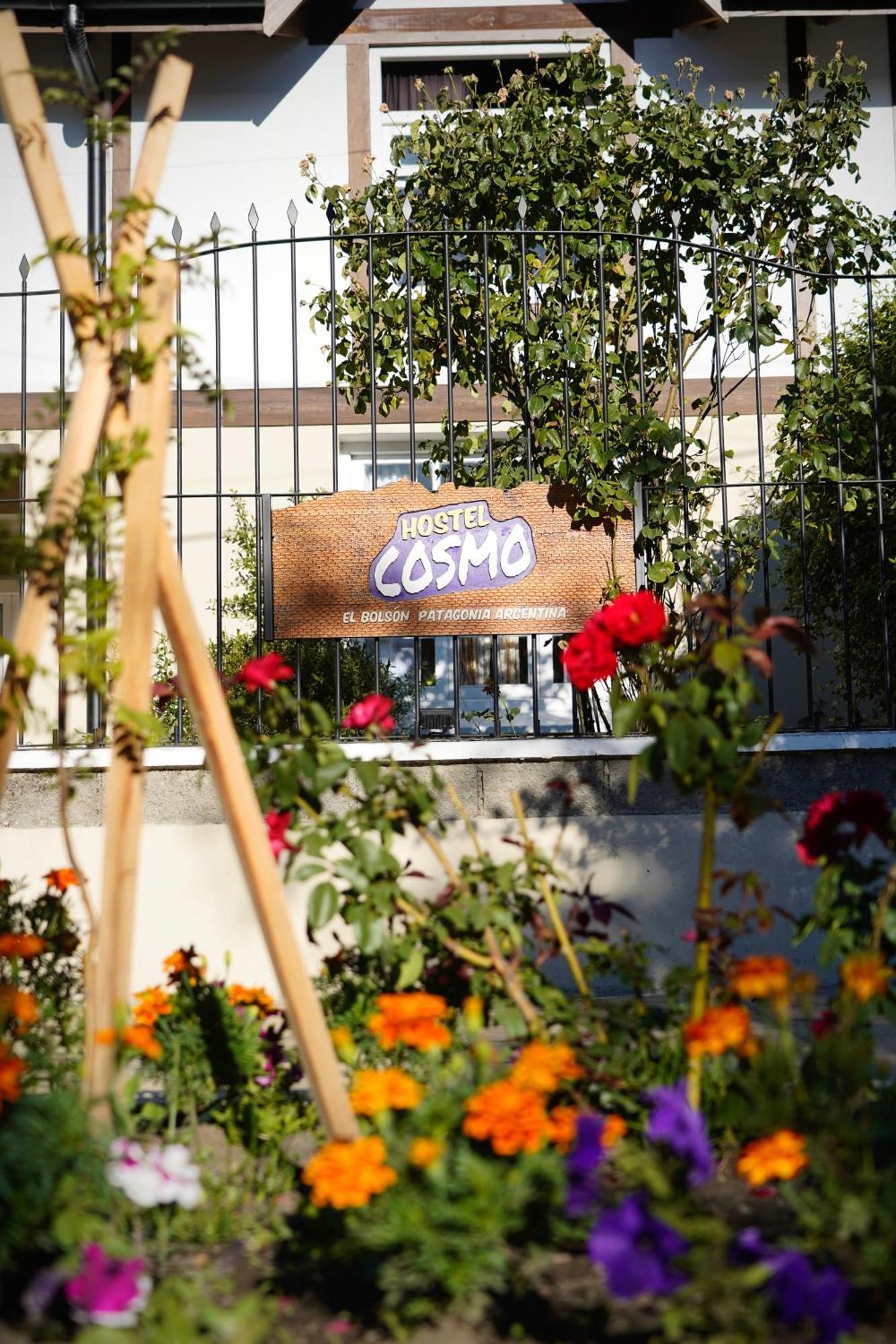Cosmo *